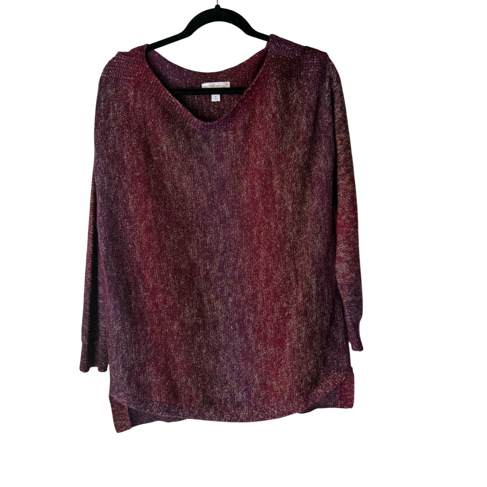 Westport Women's M Multicolor Marled V Neck Knit Sweater Tunic Top Boho Artsy